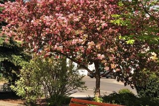 Biała Podlaska - najlepsze miasto do życia we wschodniej Polsce według AI