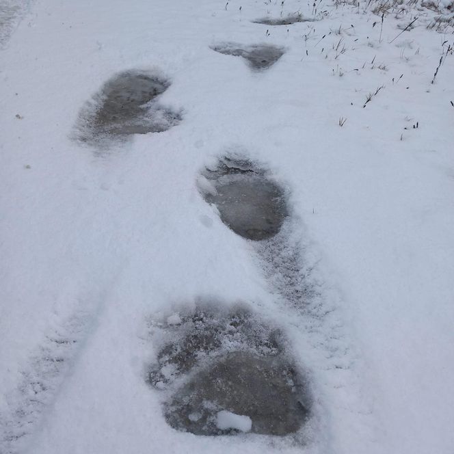 Pierwszy śnieg w Bieszczadach