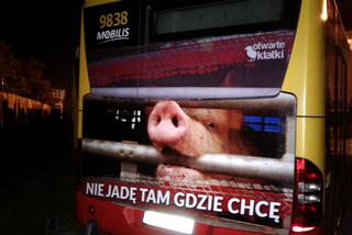 W takich warunkach transportowane są zwierzęta! Poruszająca kampania informacyjna na warszawskich autobusach