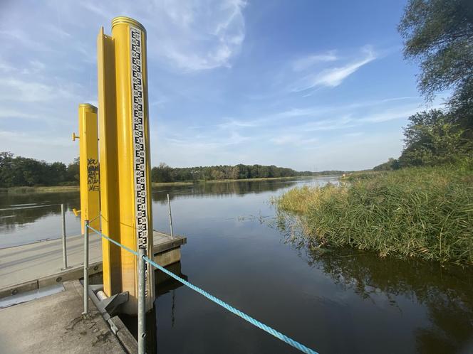 Rzeka Odra w okolicy Lasu Odrzańskiego