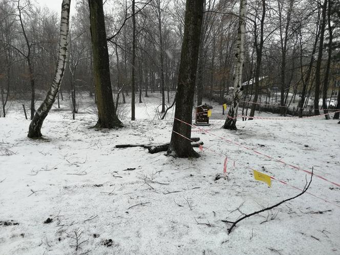 Trzebinia. W ciągu ostatniego półtora roku powstało tu około 25 zapadlisk. To oficjalne dane, bo mieszkańcy mówią nawet o dwukrotnej liczbie