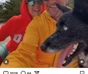 Te psy skradły serca gwiazd! Niektóre wyglądają jak z bajk