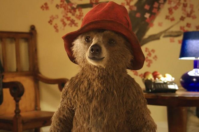 Miś Paddington