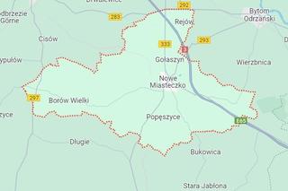 Gmina Nowe Miasteczko