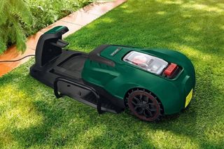 Piękna i gęsta trawa w Twoim ogrodzie. Zasady uprawy trawnika, aby był niczym najlepszej klasy murawa