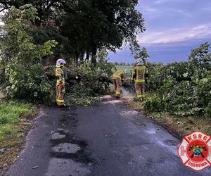 Potężna burza przeszła przez Bydgoszcz i region. Ponad 400 interwencji strażaków!