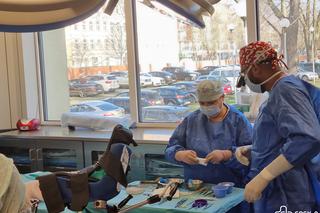 Rekonstrukcja krocza