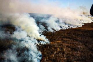 Biebrzański Park Narodowy: Tak płonie natura. Wstrząsające zdjęcia