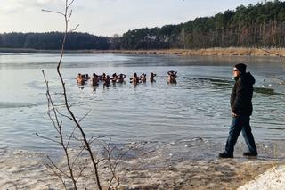 Lodowata woda im niestraszna! Za nami kolejne morsowanie w Pieckach pod Bydgoszczą