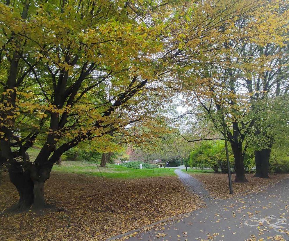park w Koszalinie jesiennią