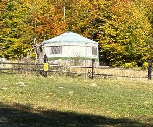 Małopolskie pasmo górskie zachwyca jesiennym pięknem. Ukryta perełka z widokiem na tatry 