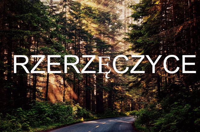 Rzerzęczcyce