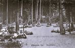 Olsztyńskie cmentarze na dawnych zdjęciach. Tak nekropolie wyglądały ponad 100 lat temu