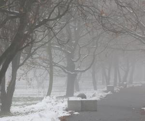 Park Ludowy w Lublinie skąpany we mgle