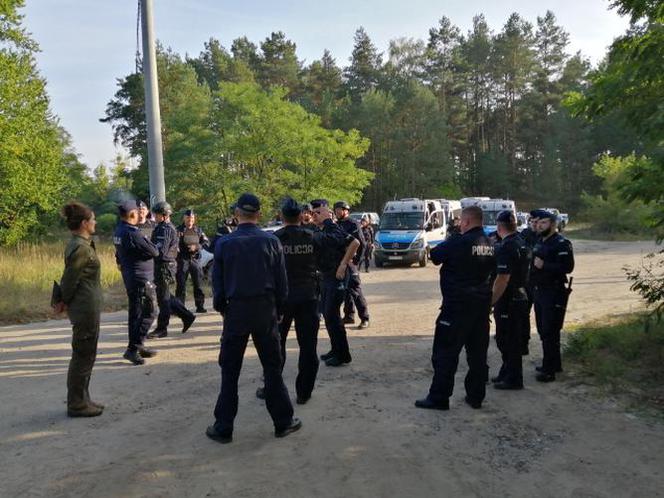 W Puszczy Noteckiej trwa obława