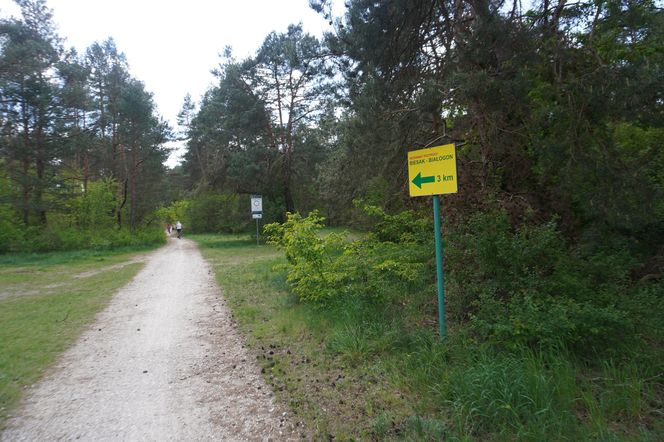 W majówkę ruszyłem rowerem ulicami Kielc! 