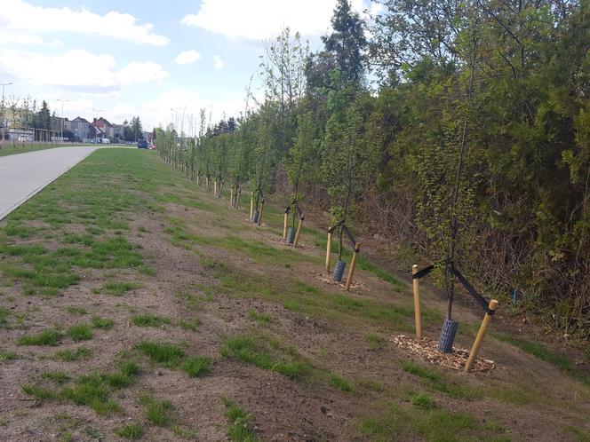 Ostatnie prace na ul. Szybowników w Lesznie