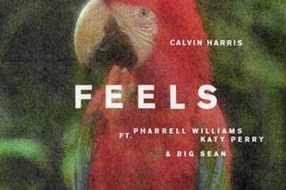 Calvin Harris, Katy Perry, Pharrell Williams i Big Sean luzują w hicie Feels [VIDEO]