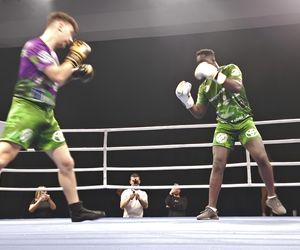 Walczyli dla Krystiana. Charytatywna gala boksu Hero Boxing Fighters 3 „Jungle”