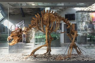 Nowe odkrycie w Jaskini Niedźwiedziej w Kletnie. Naukowcy dostali się do Sali Mastodonta [ZDJĘCIA].