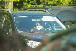 Daniel Olbrychski: Kowboj z Podkowy Leśnej