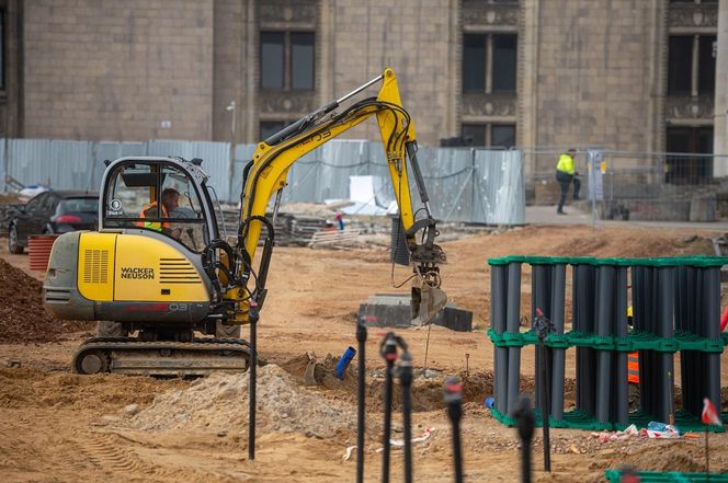 Na placu Centralnym posadzonych będzie 100 drzew 