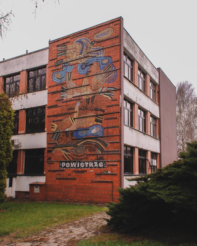 Mozaiki w Katowicach - zdjęcia. Zobacz najpiękniejsze z nich