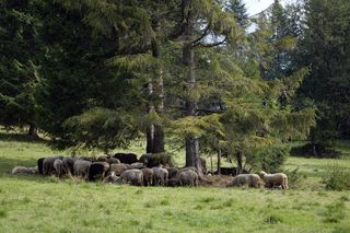 Długi weekend czerwcowy 2025. Gdzie pojechać na Boże Ciało?