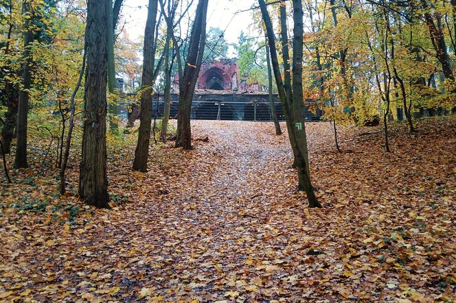 Porządkowanie terenu wokół wieży Quistorpa