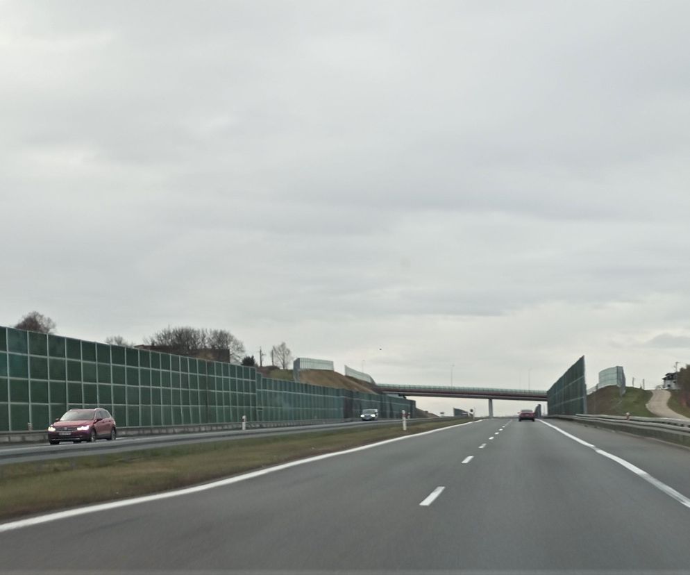 Szeroka autostrada z kilkoma samochodami na tle pochmurnego nieba, z zielonymi ekranami akustycznymi po bokach, ukazująca typowy krajobraz drogowy. Więcej na temat modernizacji infrastruktury drogowej i architektury krajobrazu na portalu Architektura Murator Plus.