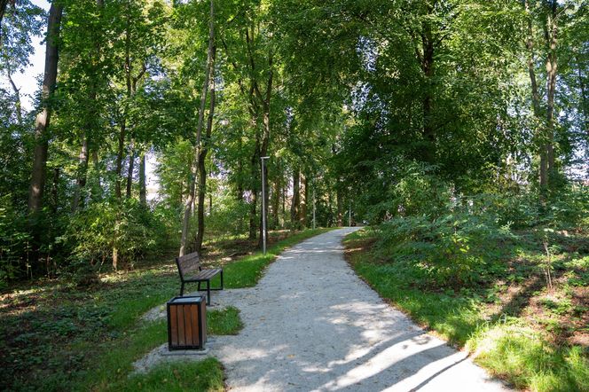 Zabytkowy park pod Lubawą zmienił się nie do poznania. Teraz wygląda jak z bajki