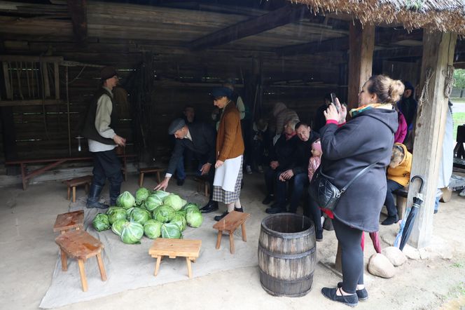 Tak ongiś siekano kapustę w woj. lubelskim. „Obieraczki kapuściane” w Muzeum Wsi Lubelskiej