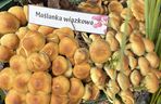 Grzybowe święto w Lublinie. Plac Litewski zamienił się w las pełen grzybów.