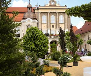 Drugi dzień Daisy Days 2024. Niesamowite aranżacje ogrodowe