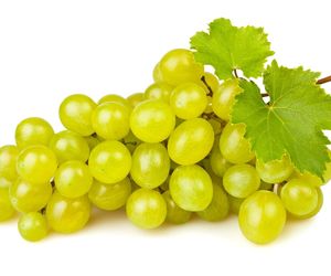 Raport toksycznych owoców i warzyw