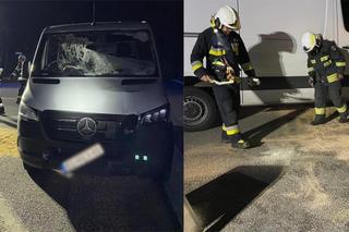 Wypadek na DK 10 pod Bydgoszczą. Kierowca próbował ominąć dzika i uderzył w znak 