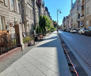 Bydgoszczanie marzą o roślinach wzdłuż ulicy, a drogowcy chcieli tam słupków. Jest reakcja na protest