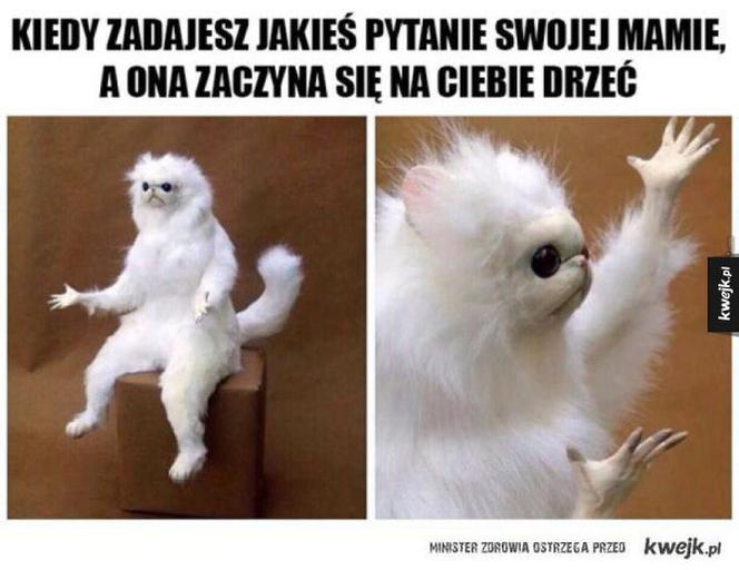 Memy z mamą w roli głównej 