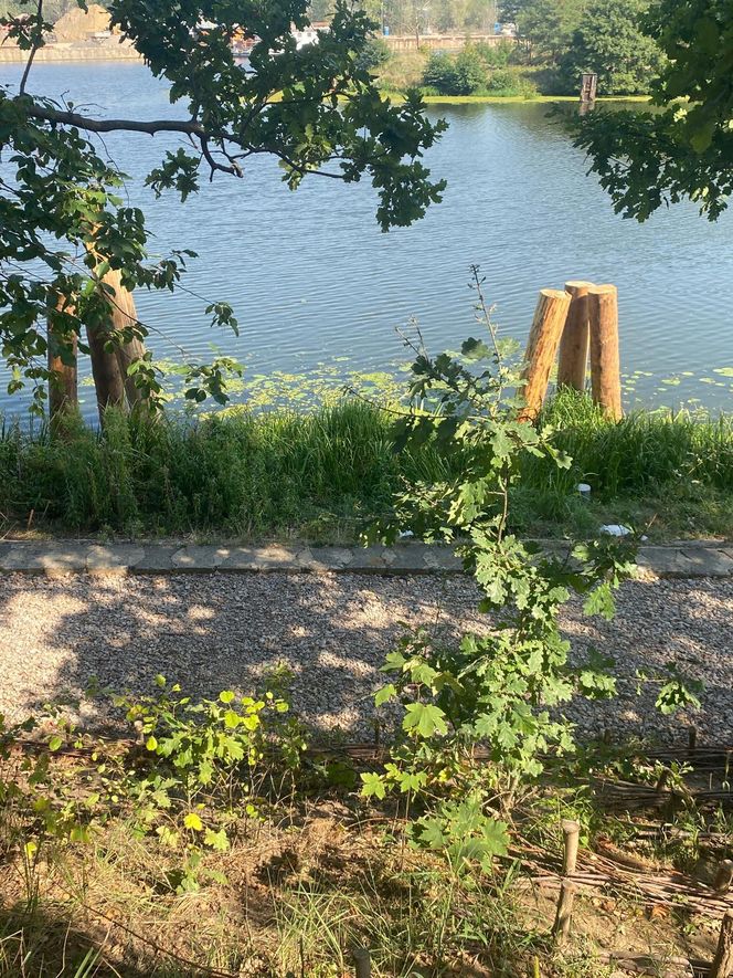 Park Żerański w Warszawie