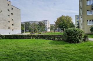 Budżet Obywatelski - Osiedle kwitnącej wiśni i jabłoni