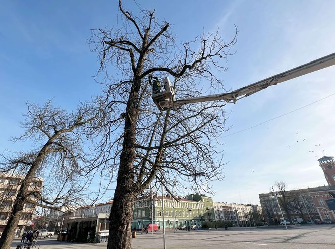 Świąteczne dekoracje, jarmark i miejski Sylwester. Częstochowa szykuje się na świętowanie