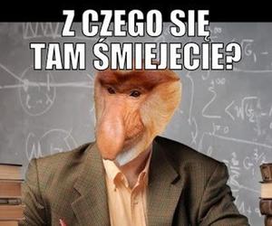 Najlepsze MEMY na Dzień Nauczyciela 2023!