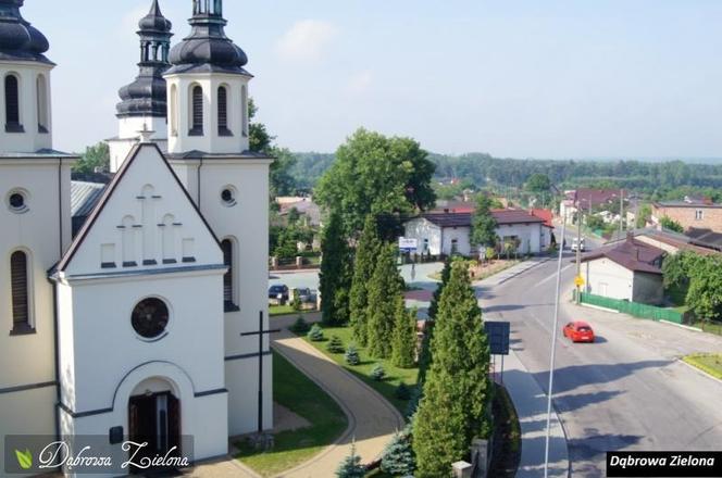 1. Dąbrowa Zielona