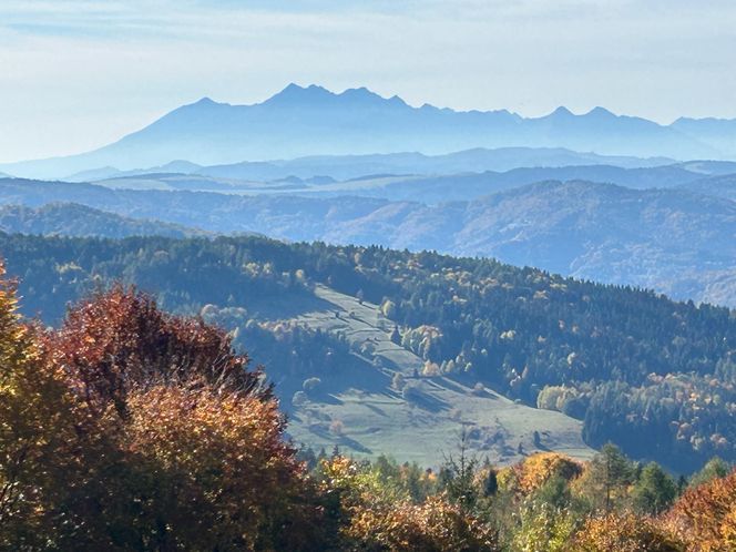 Małopolskie pasmo górskie zachwyca jesiennym pięknem. Ukryta perełka z widokiem na tatry 