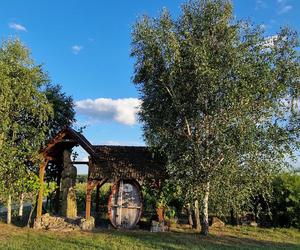 Winnica Cantina, Mozów koło Sulechowa