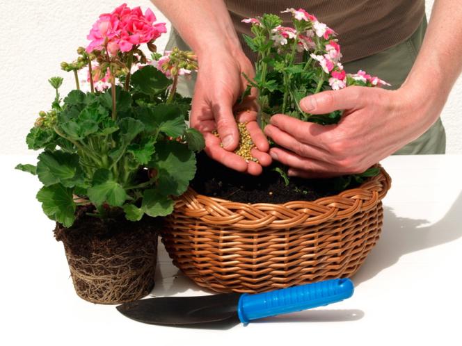 Nawozy o spowolnionym działaniu (nawozy wolno działające) - zalety i wady