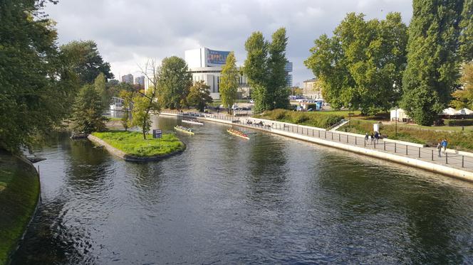 Wielka Wioślarska 2019 w Bydgoszczy 