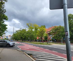 Aleja Dębowa w Bydgoszczy, czyli żywa historia wśród zieleni