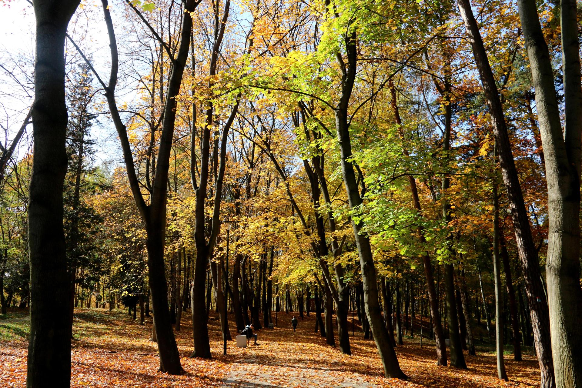 Park Miejski, Starachowice
