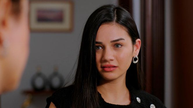 Miłość i nadzieja odc. 282. Cavidan, Bahar